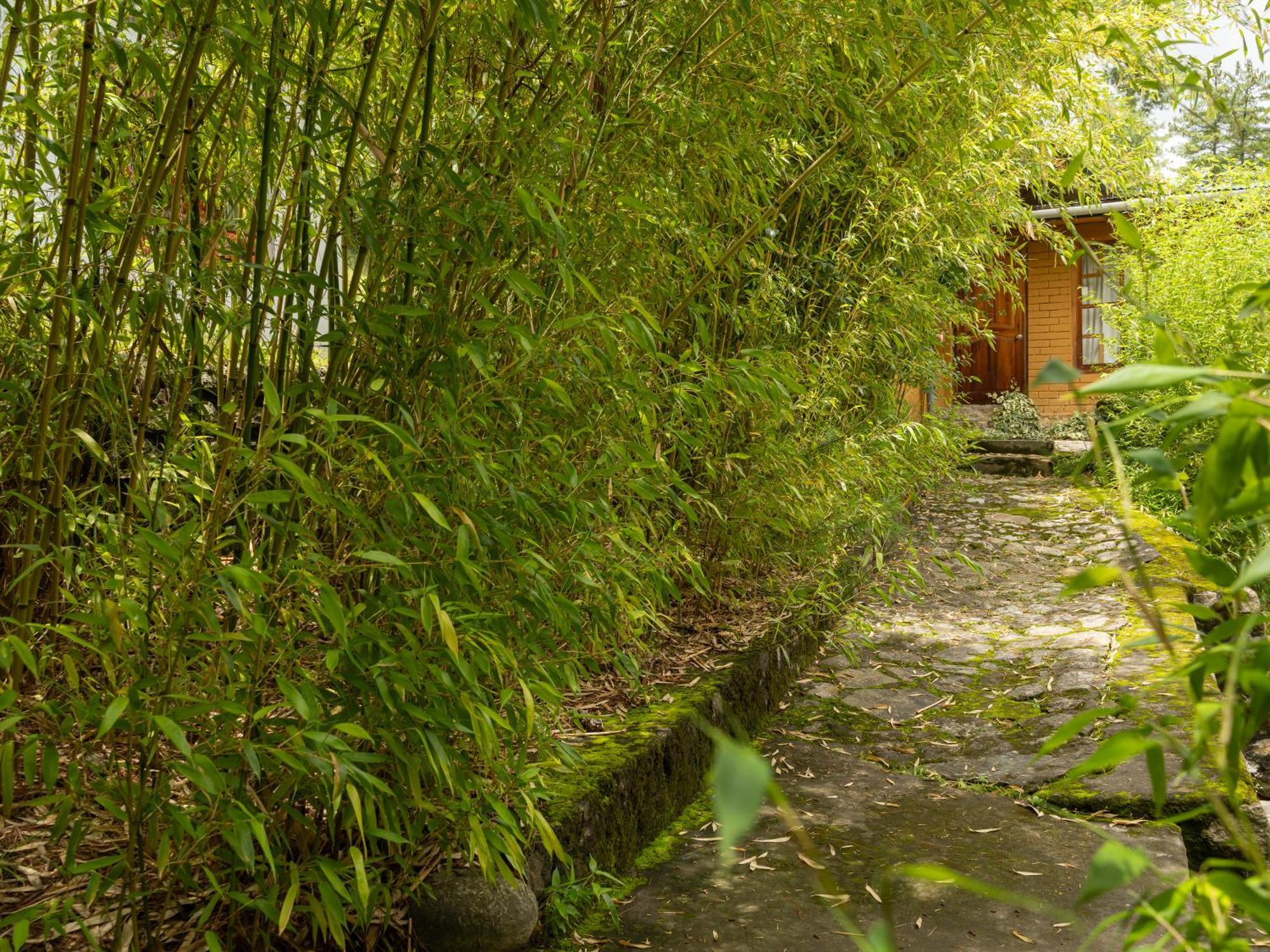 Tiger'S Nest Resort - Best Resort In Paro Kültér fotó